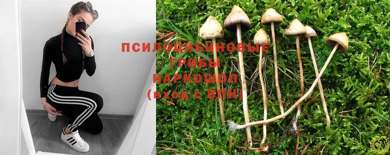 как найти наркотики  OMG вход  Псилоцибиновые грибы Magic Shrooms  Джанкой 